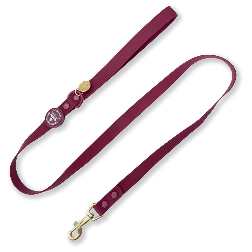 4ft Waterproof Lead - Walkies Ready® Mulberry (New Clip)