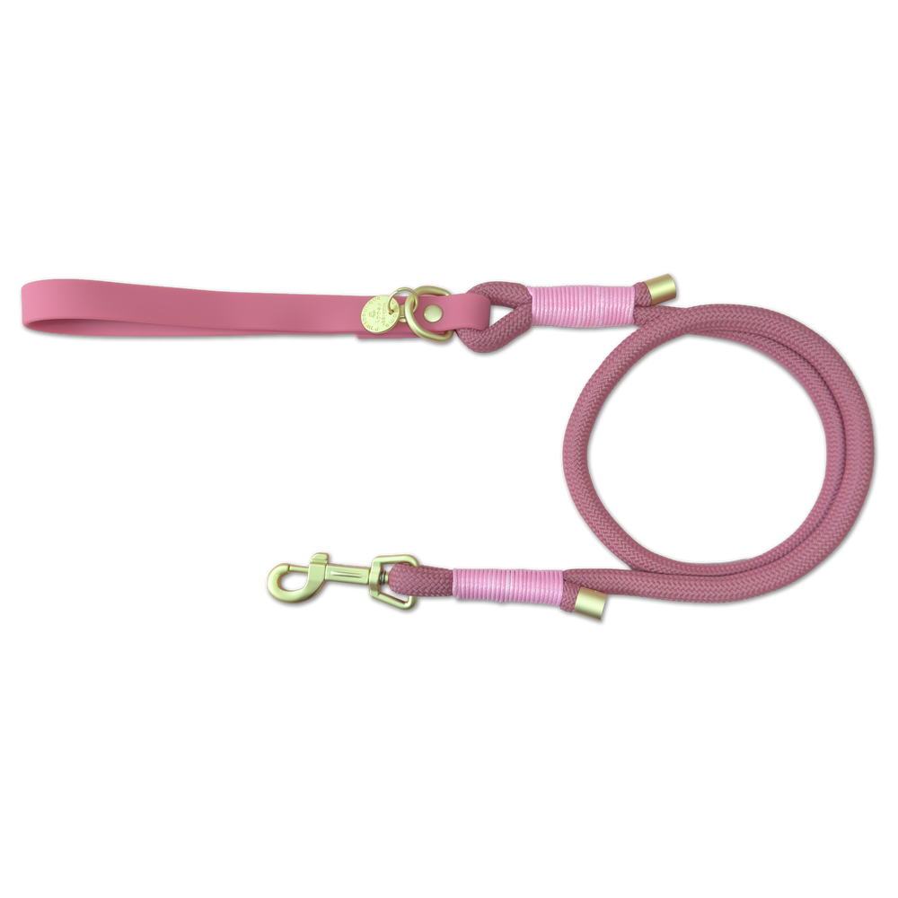 4ft Rope Lead - Pretty Pink (New Clip)