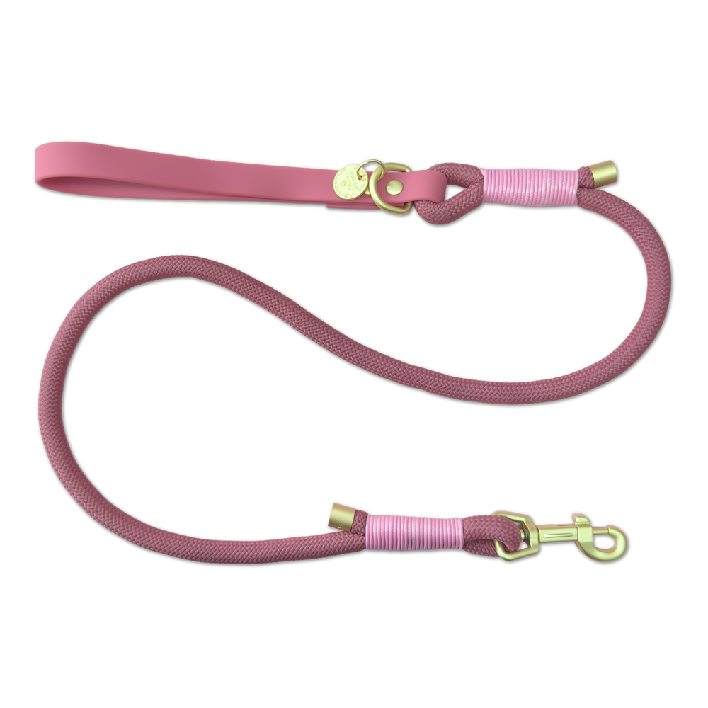 4ft Rope Lead - Pretty Pink (New Clip)