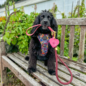 Pawsome Poop Pocket - Pretty Pink