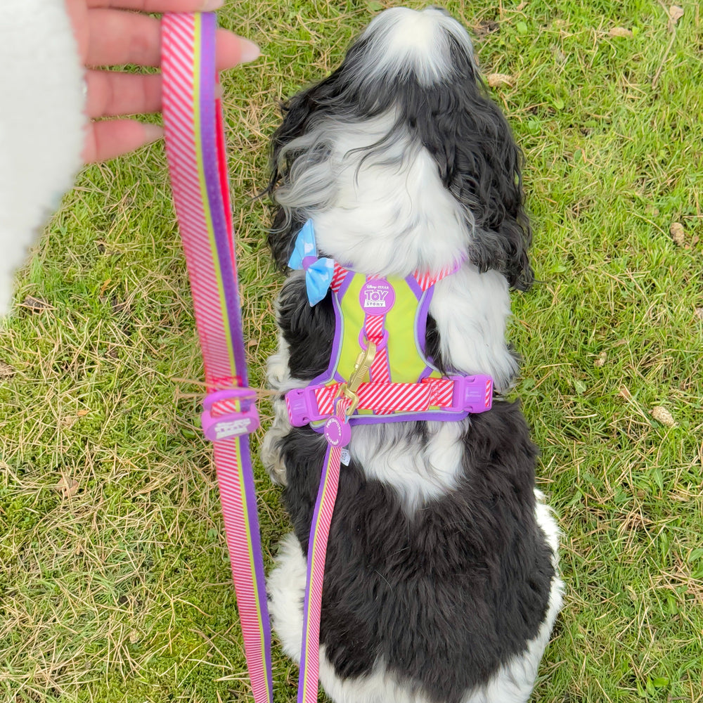 Disney© Lead - Buzz Lightyear