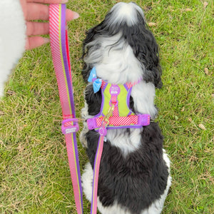 Disney© Lead - Buzz Lightyear