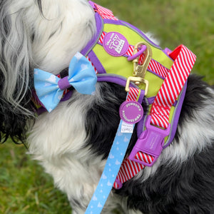 Disney© Bow Tie - Buzz Lightyear