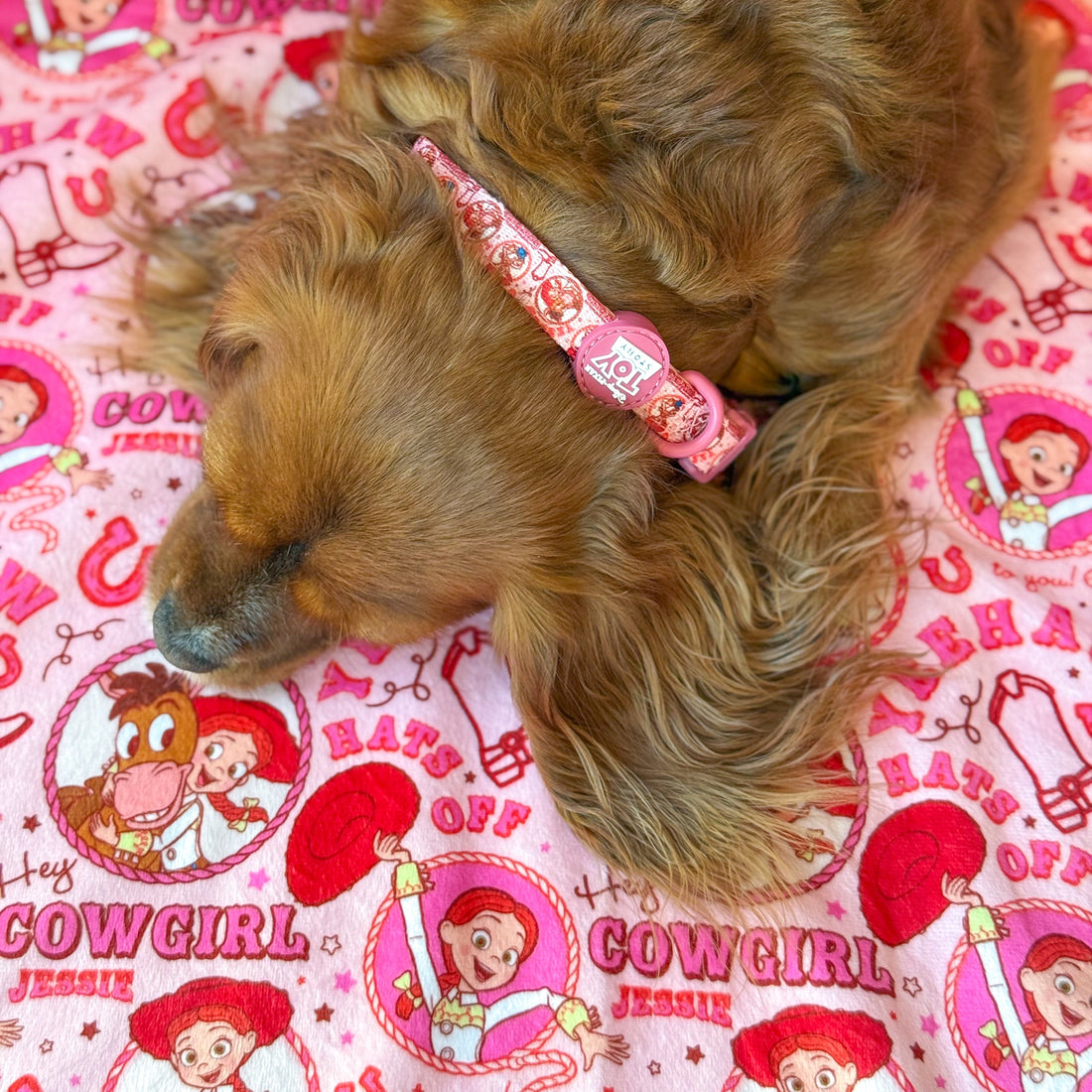 Disney© Dog Blanket - Jessie