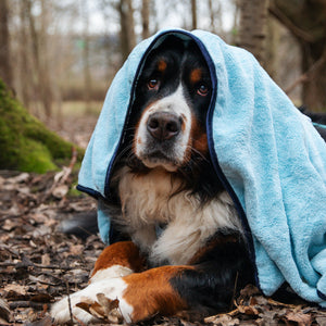 Disney© Microfibre Towel - Eeyore