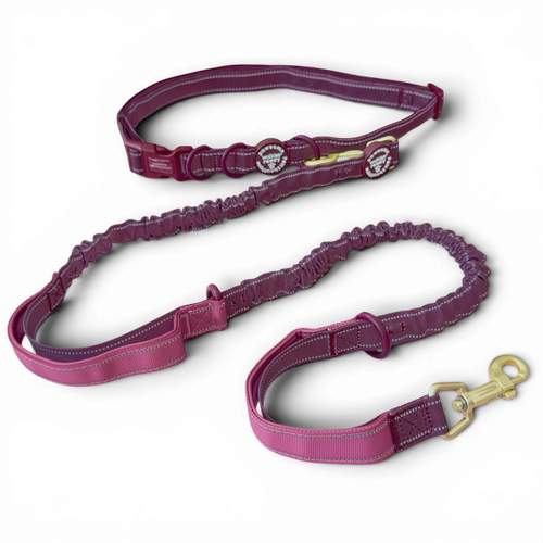 Handsfree Lead - Walkies Ready® Mulberry (New Clip)