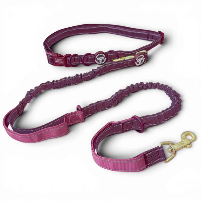 Handsfree Lead - Walkies Ready® Mulberry (New Clip)