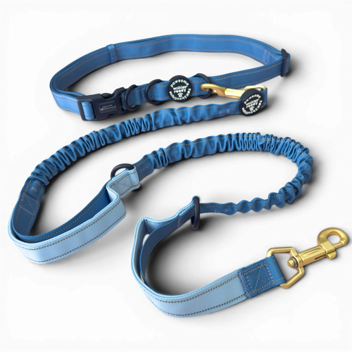 Handsfree Lead - Walkies Ready® Cornflower Blue (New Clip)