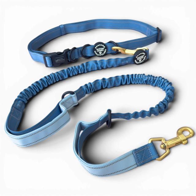 Handsfree Lead - Walkies Ready® Cornflower Blue (New Clip)