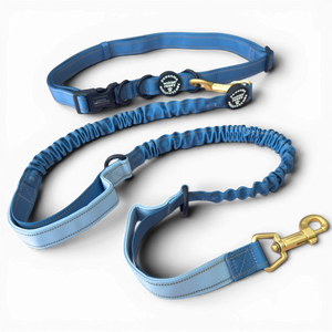 Handsfree Lead - Walkies Ready® Cornflower Blue (New Clip)