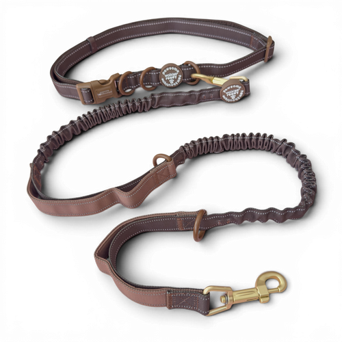 Handsfree Lead - Walkies Ready® Chocolate Brown (New Clip)