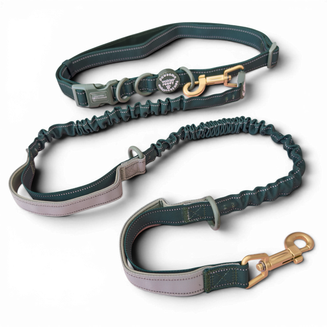 Handsfree Lead - Walkies Ready® Forest Green (New Clip)
