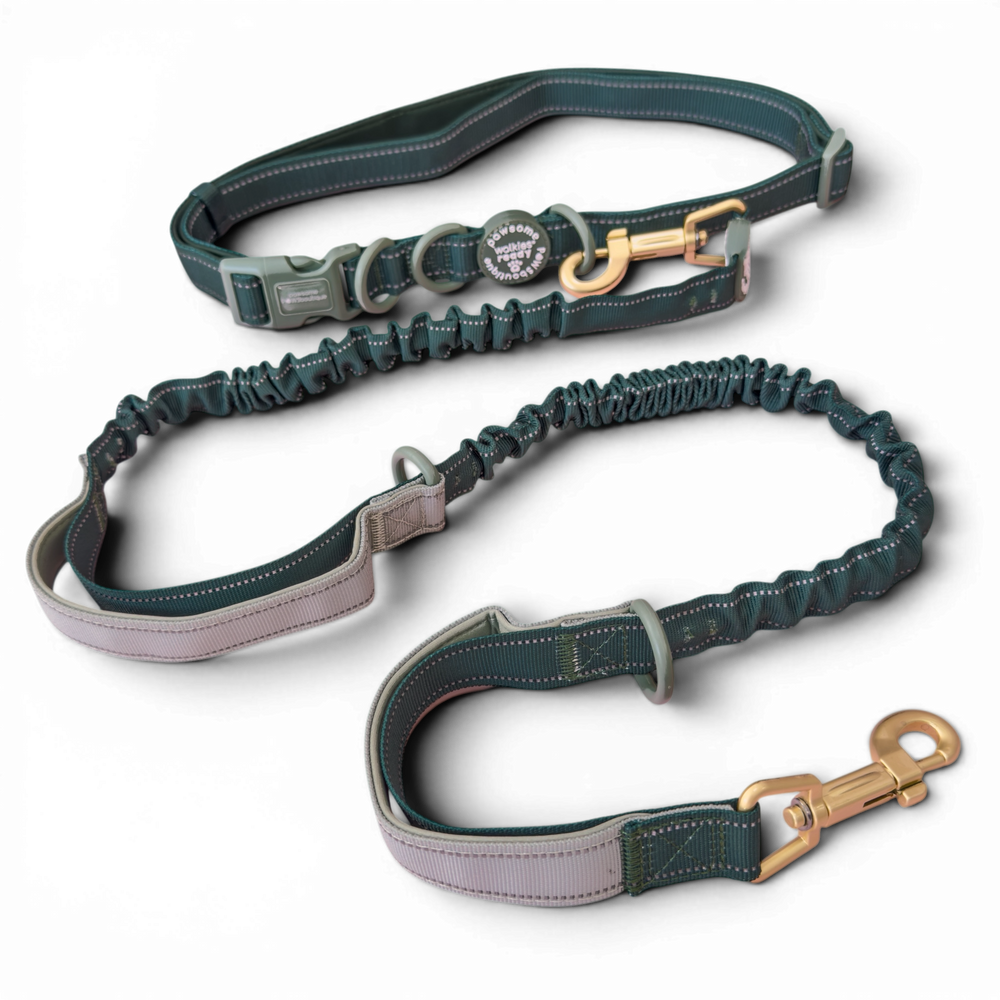Handsfree Lead - Walkies Ready® Forest Green (New Clip)