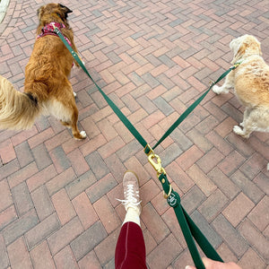 Double Ended Lead - Walkies Ready® Forest Green