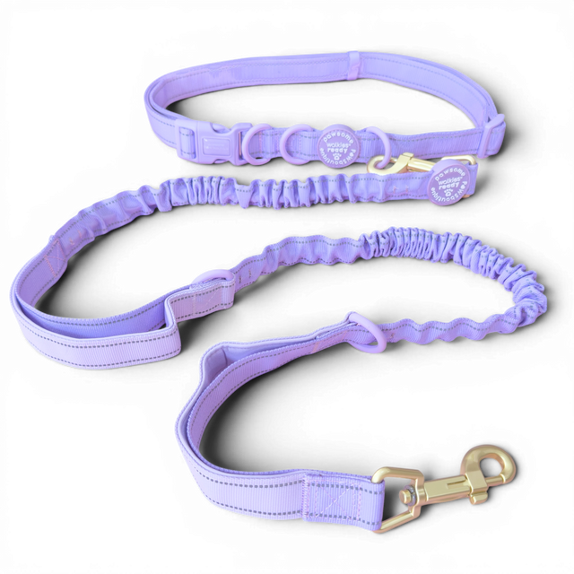 Handsfree Lead - Walkies Ready® Lavender Lilac (New Clip)