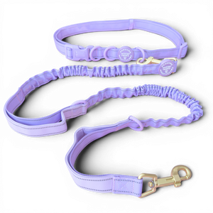 Handsfree Lead - Walkies Ready® Lavender Lilac (New Clip)