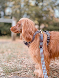AdjustFit Lead - Horizon Houndstooth