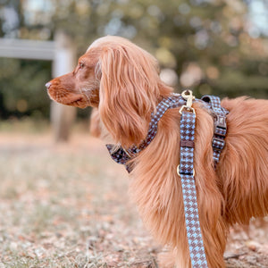 AdjustFit Lead - Horizon Houndstooth