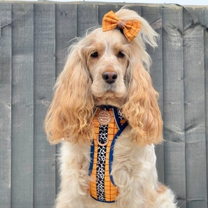 Disney© Bow Tie - Woody