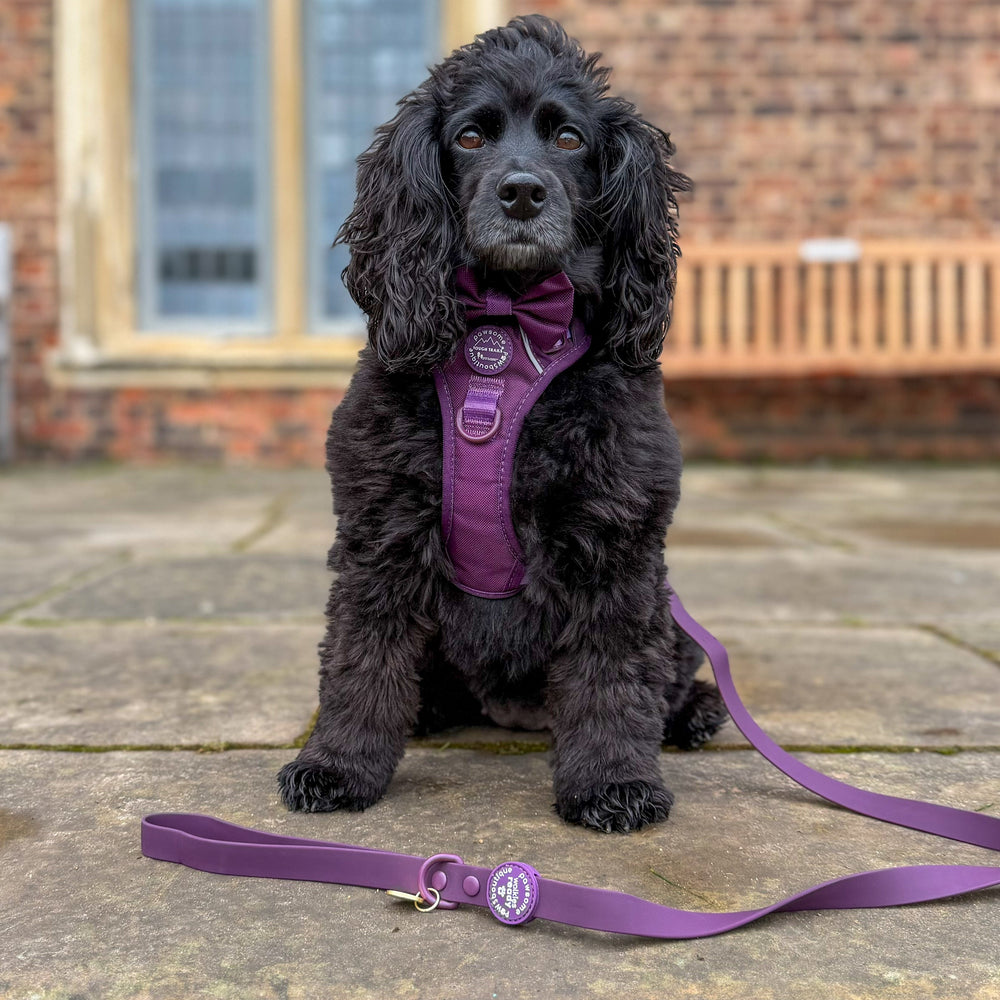 4ft Waterproof Lead - Walkies Ready® Plum