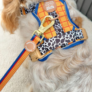 Disney© Lead - Woody