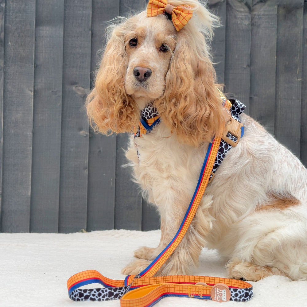 Disney© Lead - Woody