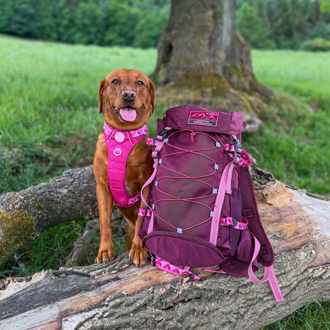 Walkies Ready® Hiking Backpack
