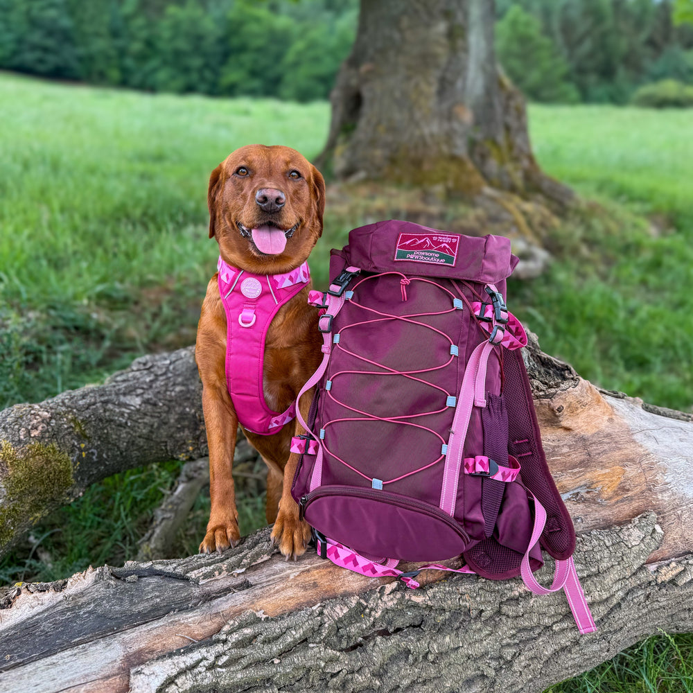 Walkies Ready® Hiking Backpack