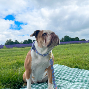 Disney© Travel Mat - Bambi + Thumper