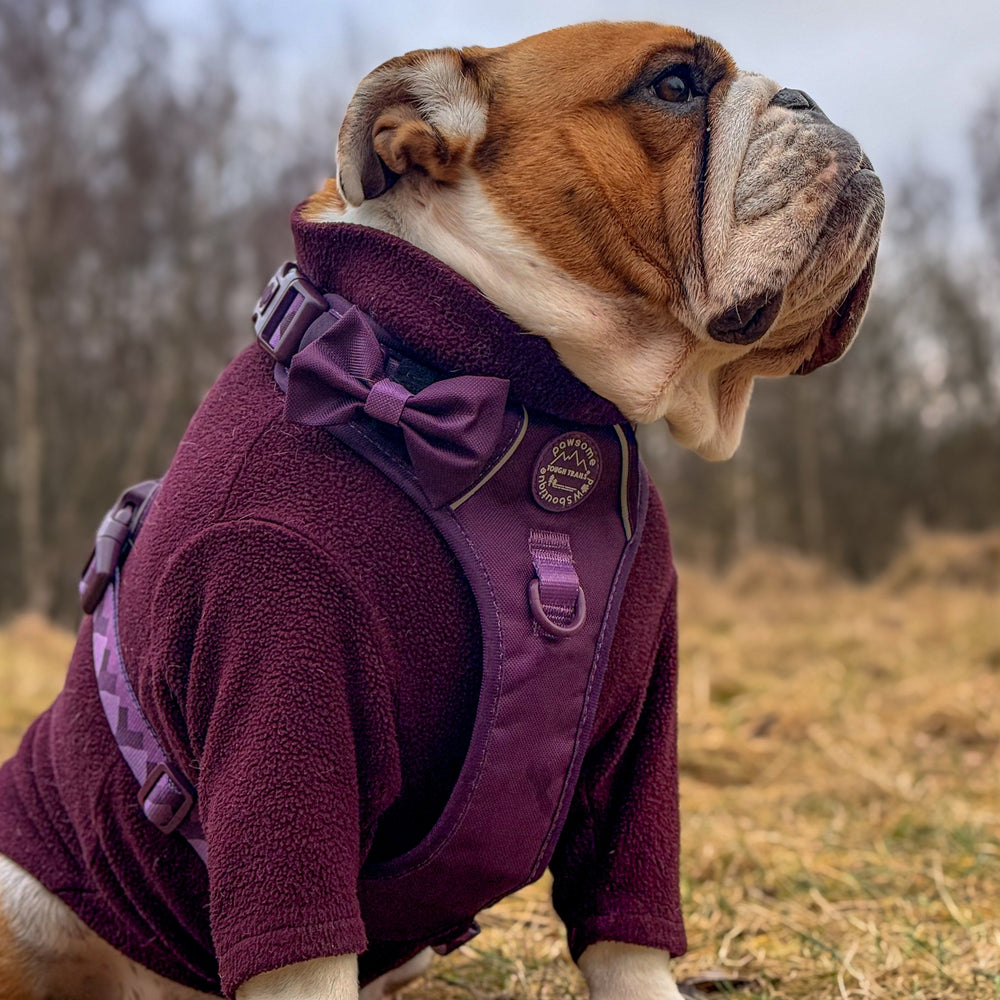 Bow Tie - Walkies Ready® - Plum