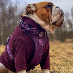Bow Tie - Walkies Ready® - Plum