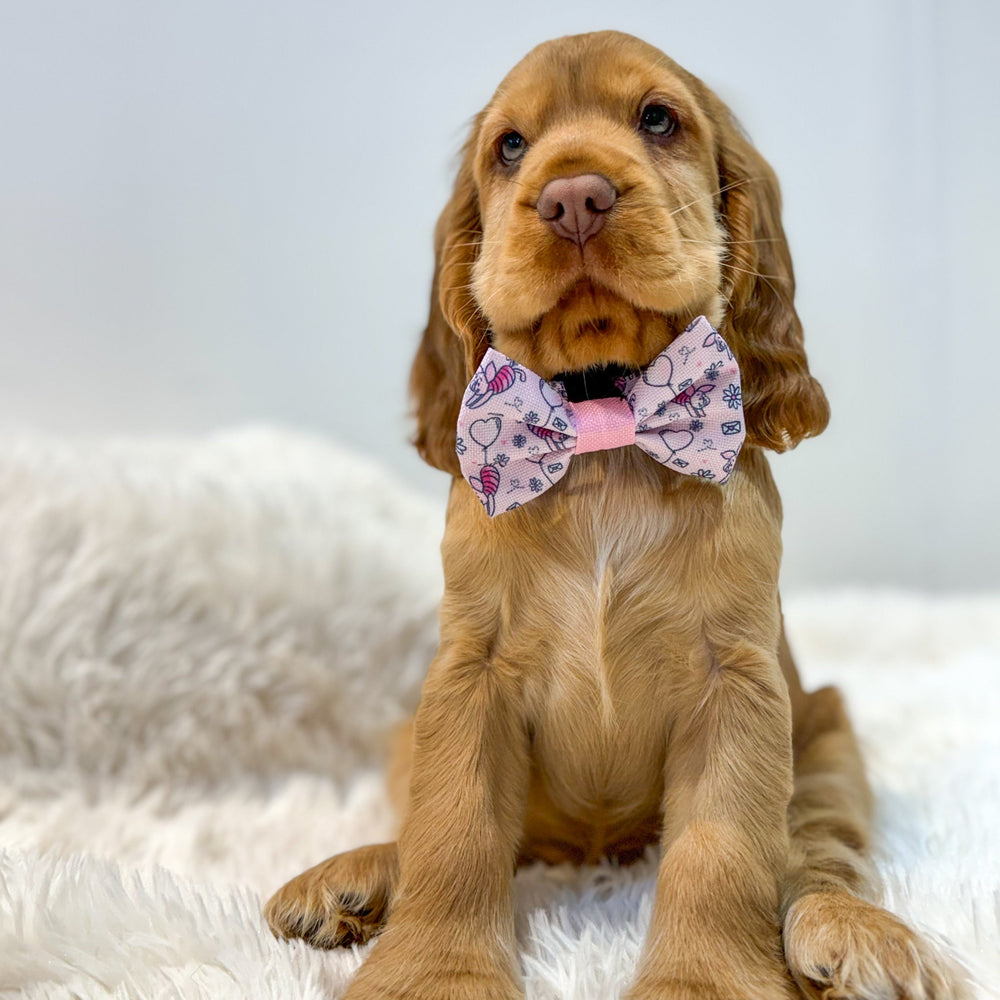 Disney© Bow Tie - Piglet