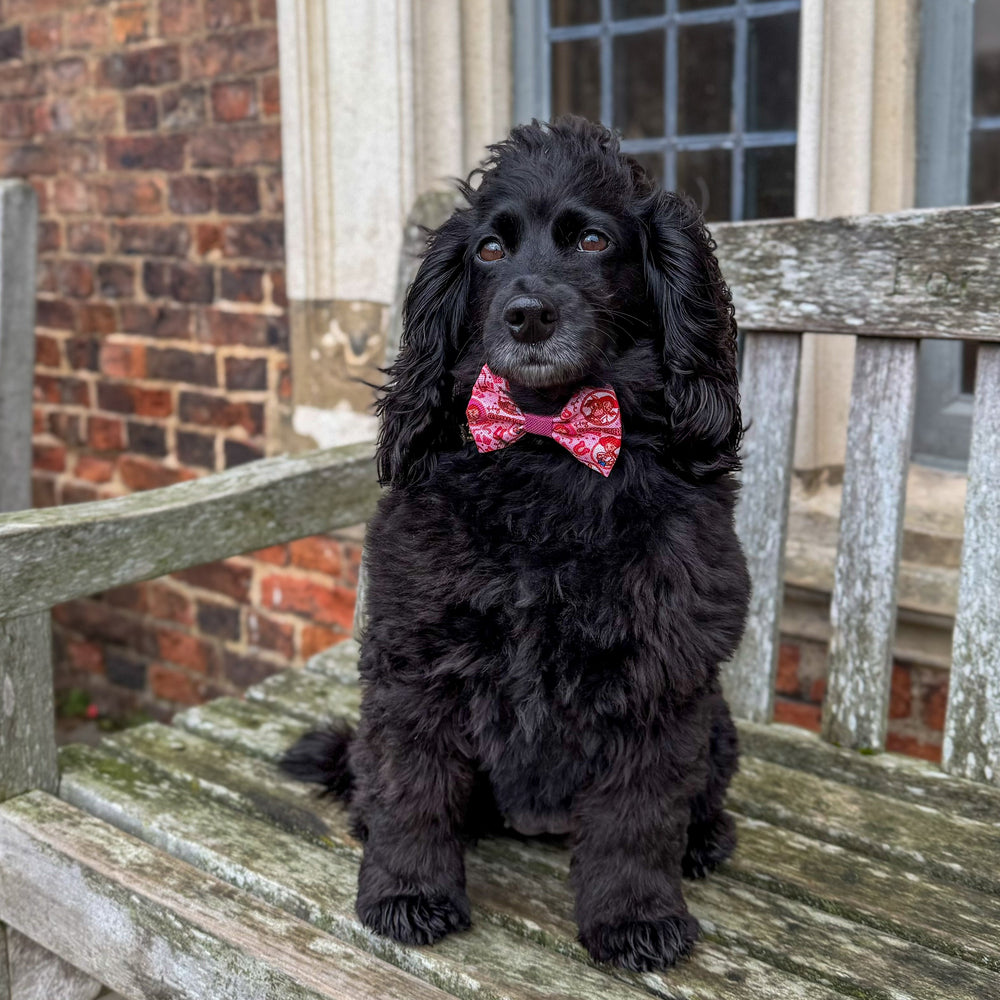 Disney© Bow Tie - Jessie