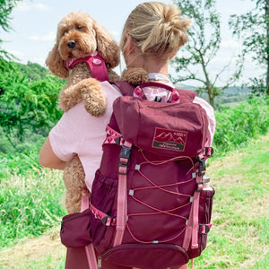 Walkies Ready® Hiking Backpack