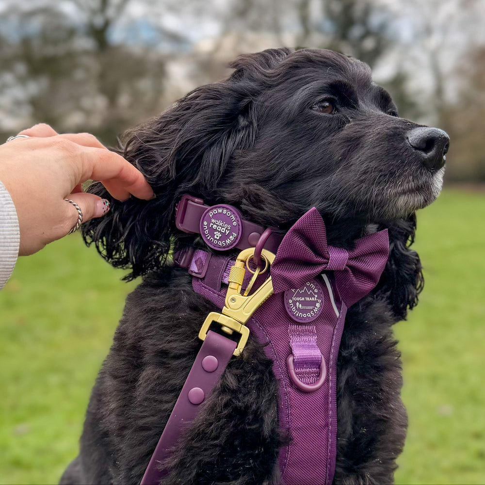 Bow Tie - Walkies Ready® - Plum