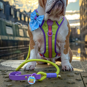 Disney© 4ft Rope Lead - Buzz Lightyear