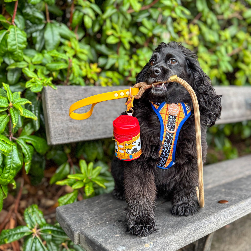 Disney© 4ft Rope Lead - Woody