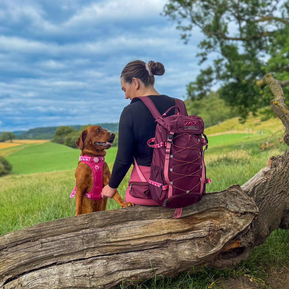 Walkies Ready® Hiking Backpack