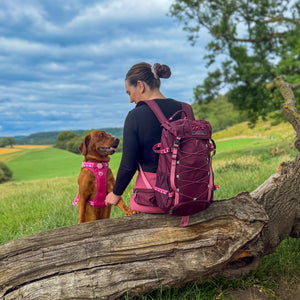 Walkies Ready® Hiking Backpack