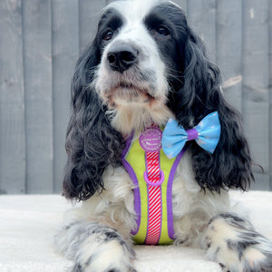 Disney© Bow Tie - Buzz Lightyear