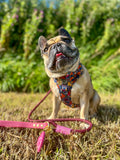 4ft Rope Lead - Mulberry