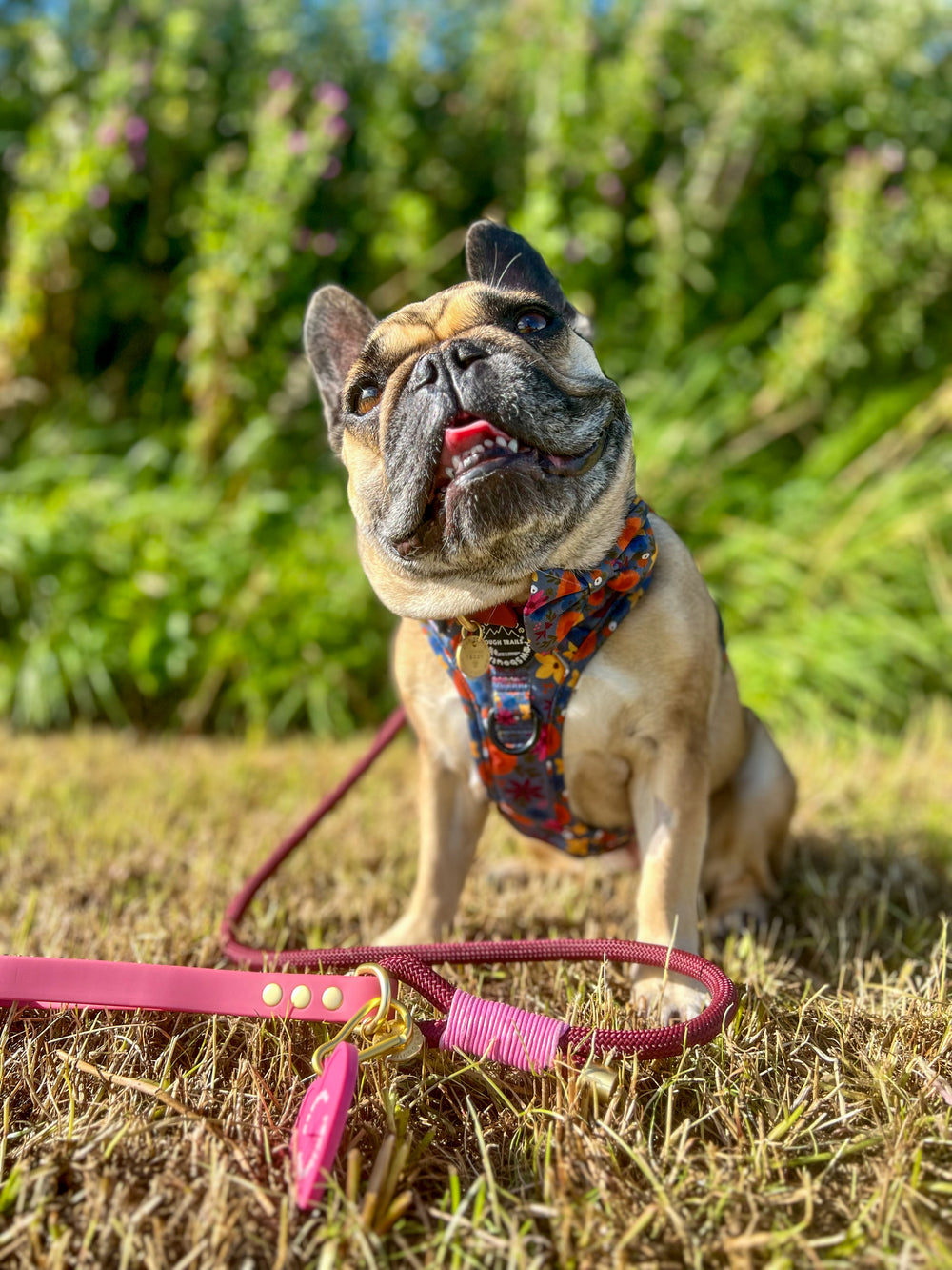 4ft Rope Lead - Mulberry