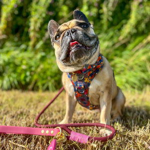 4ft Rope Lead - Mulberry