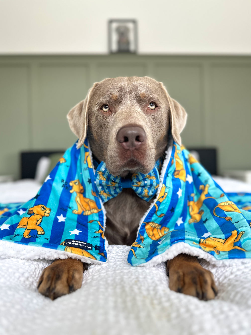 Disney© Bow Tie - Simba