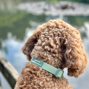 Waterproof Collar - Green