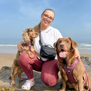 All In One Bumbag - Black