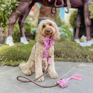 4ft Rope Lead - Brown + Pink