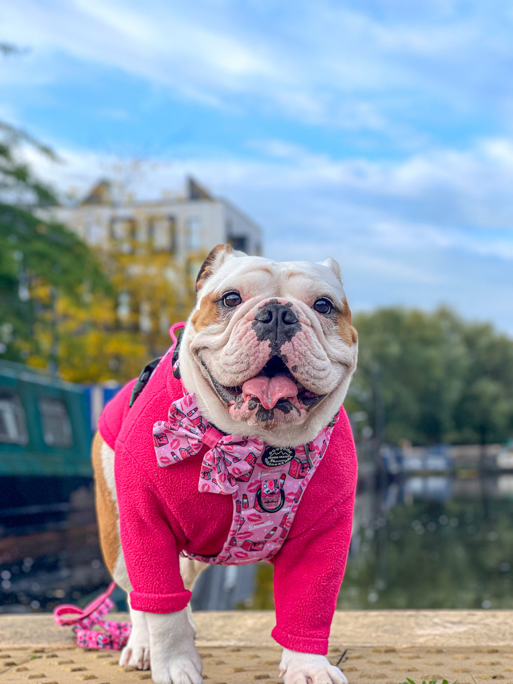 Tough Trails™ Harness - Mean Girls