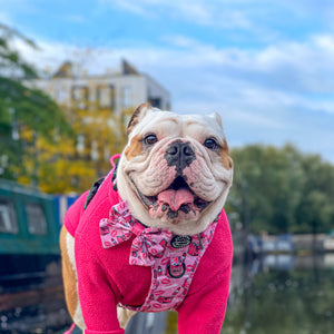 Tough Trails™ Harness - Mean Girls