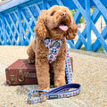 Paddington™ AdjustFit Lead - London